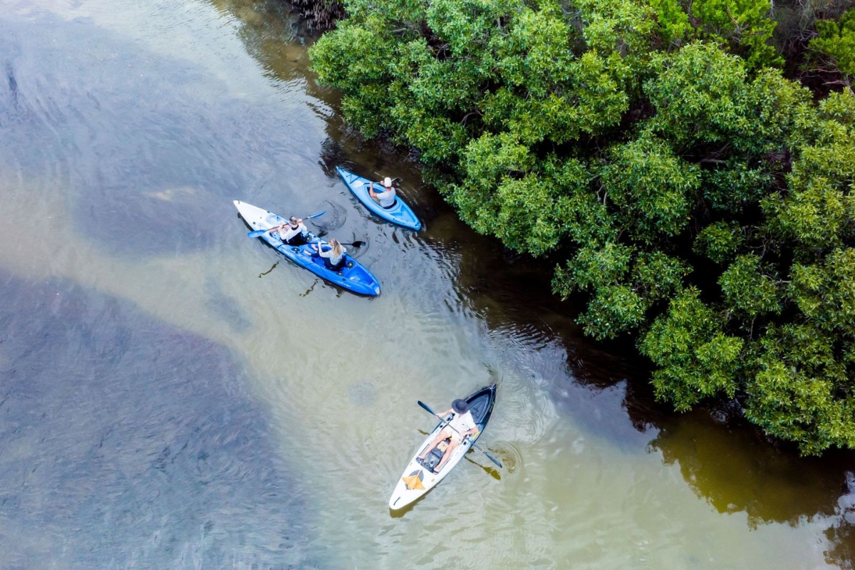 Noosa Kayak Tours & E-bike Tours