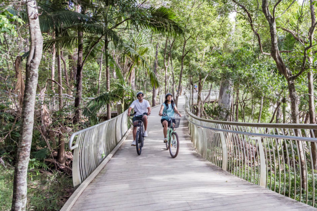 Noosa boardwalk