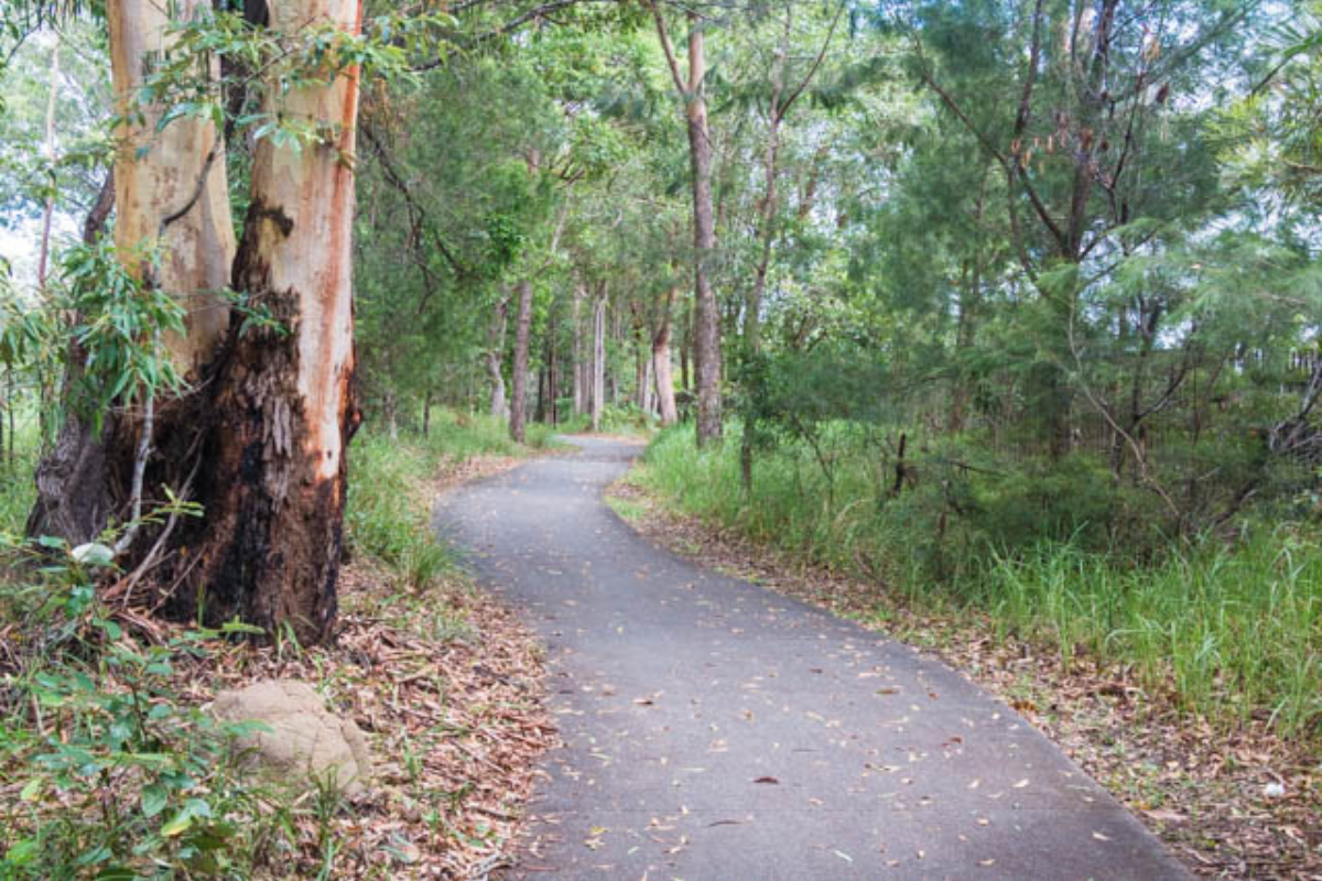 Lake Donnella path noosa