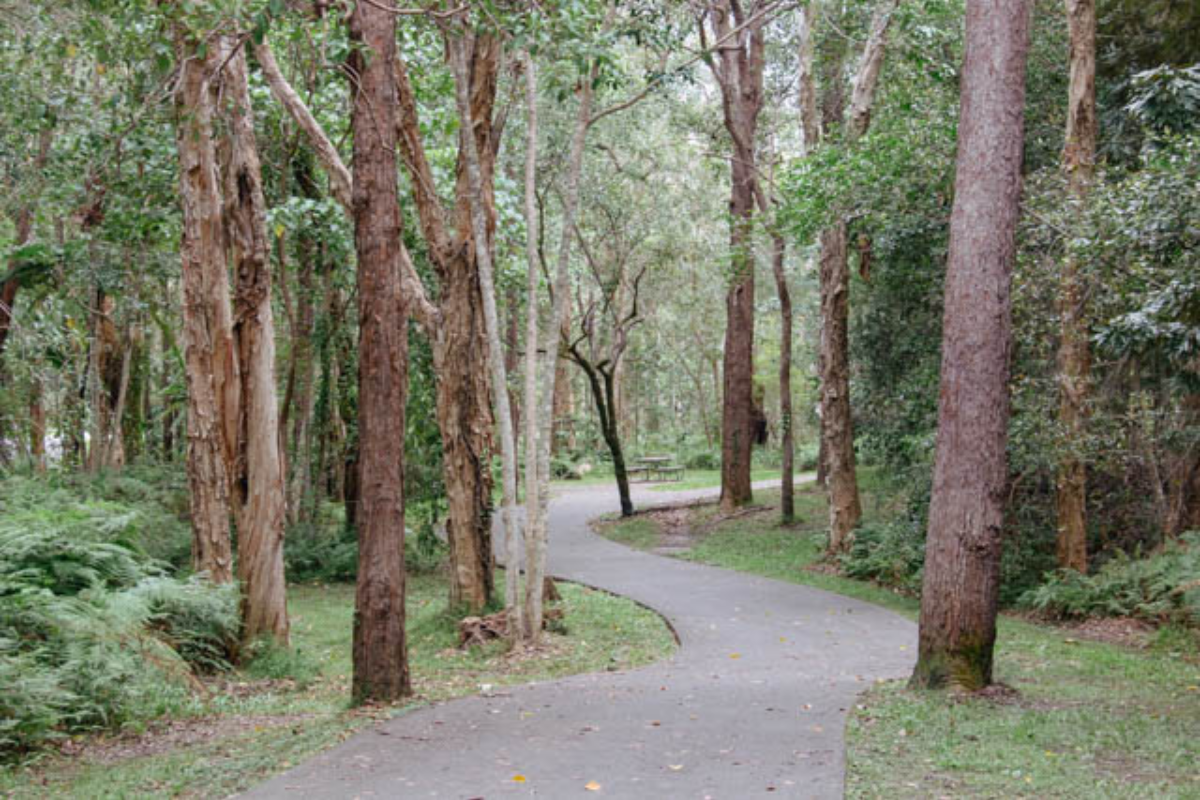 Lake doonella tour