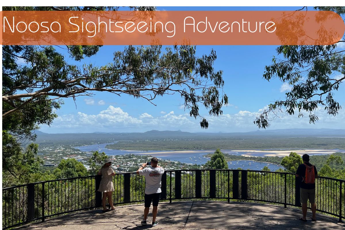 noosa sightseeing tour