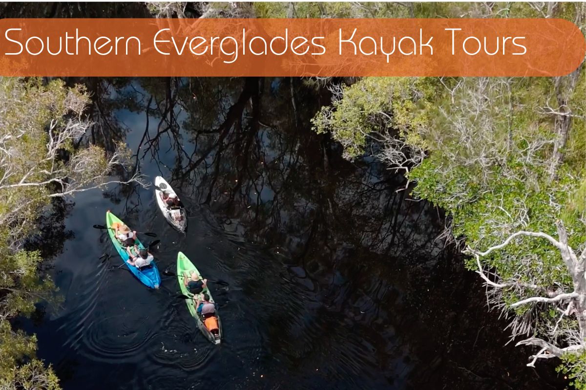 Southern Everglades Kayak Tours