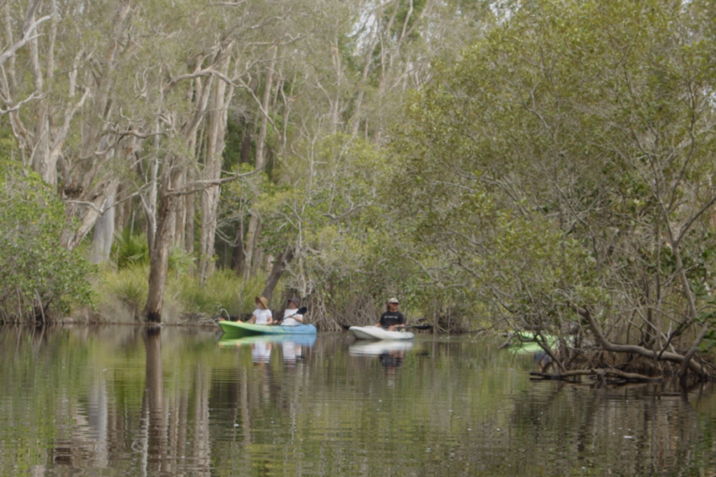 Noosa Everglades Kayak image