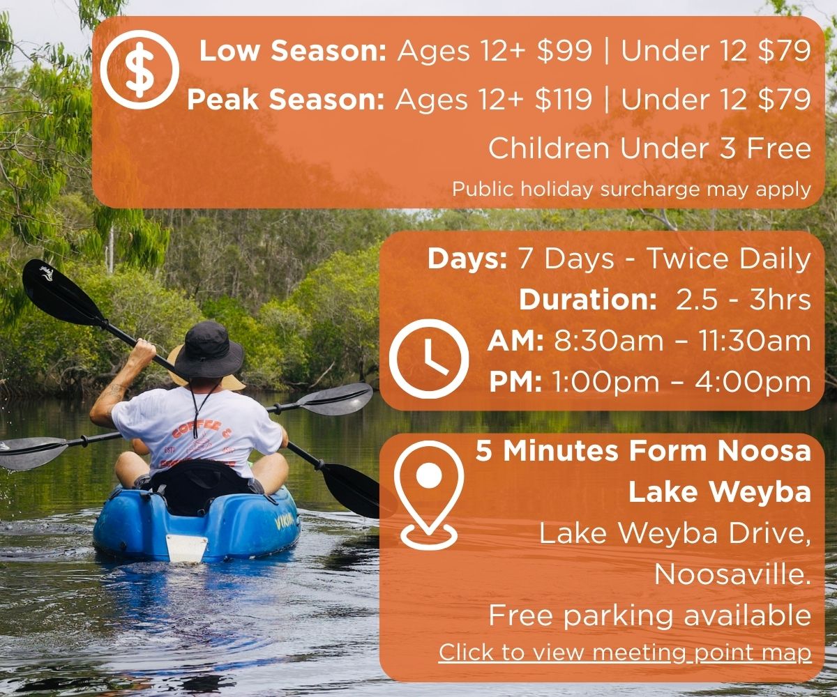 Noosa Everglades kayak tour details