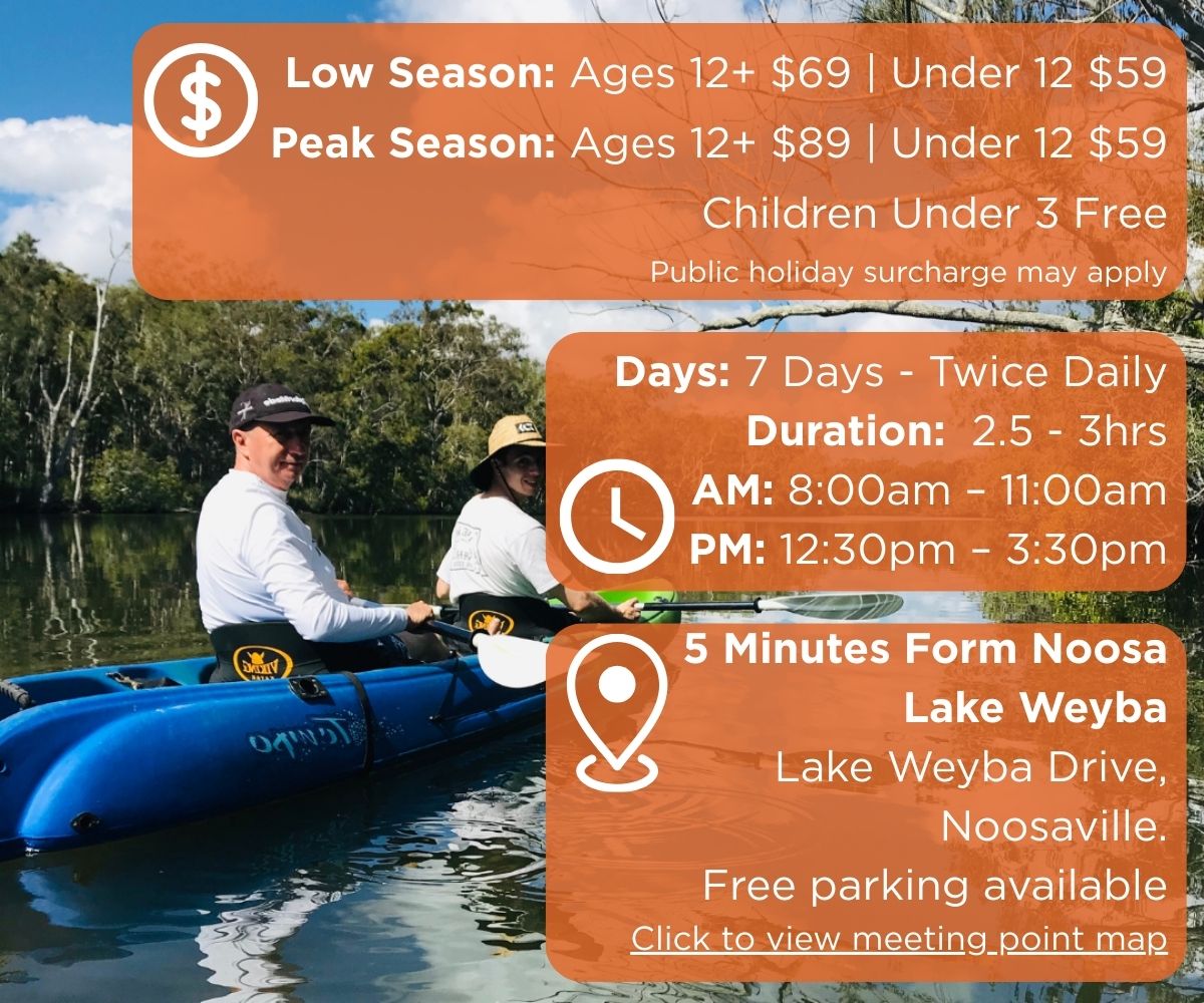 self guided Noosa everglades tour details
