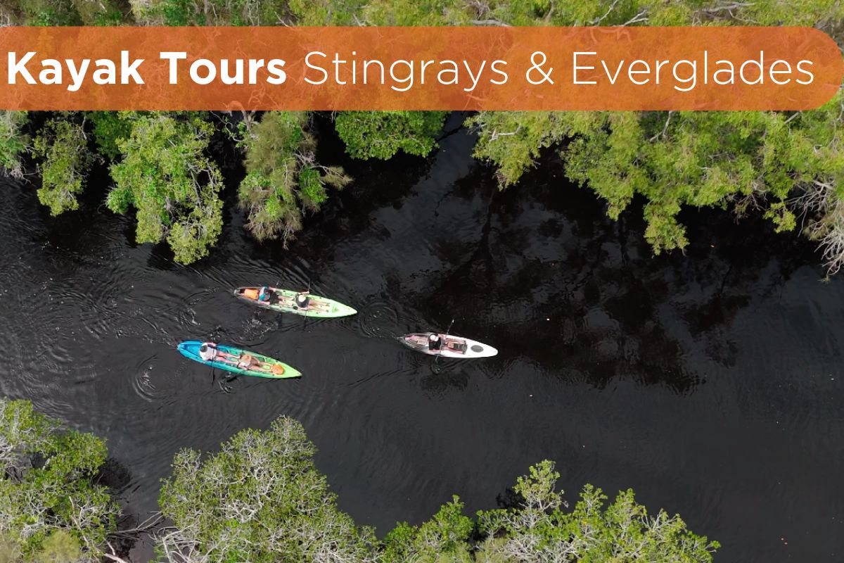 Kayak tour image Reflective waterway