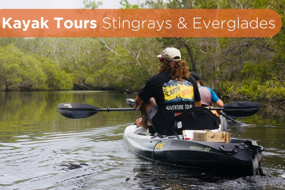 Self Guided Everglades Kayak Tours main image