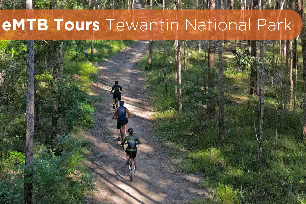 Noosa e Mountain Bike Tour image