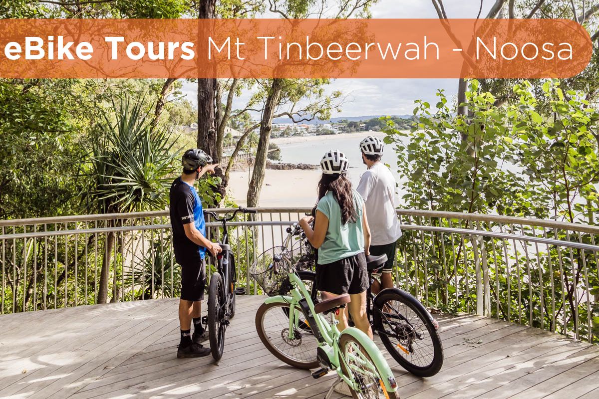 ookout view on Noosa ebike tour