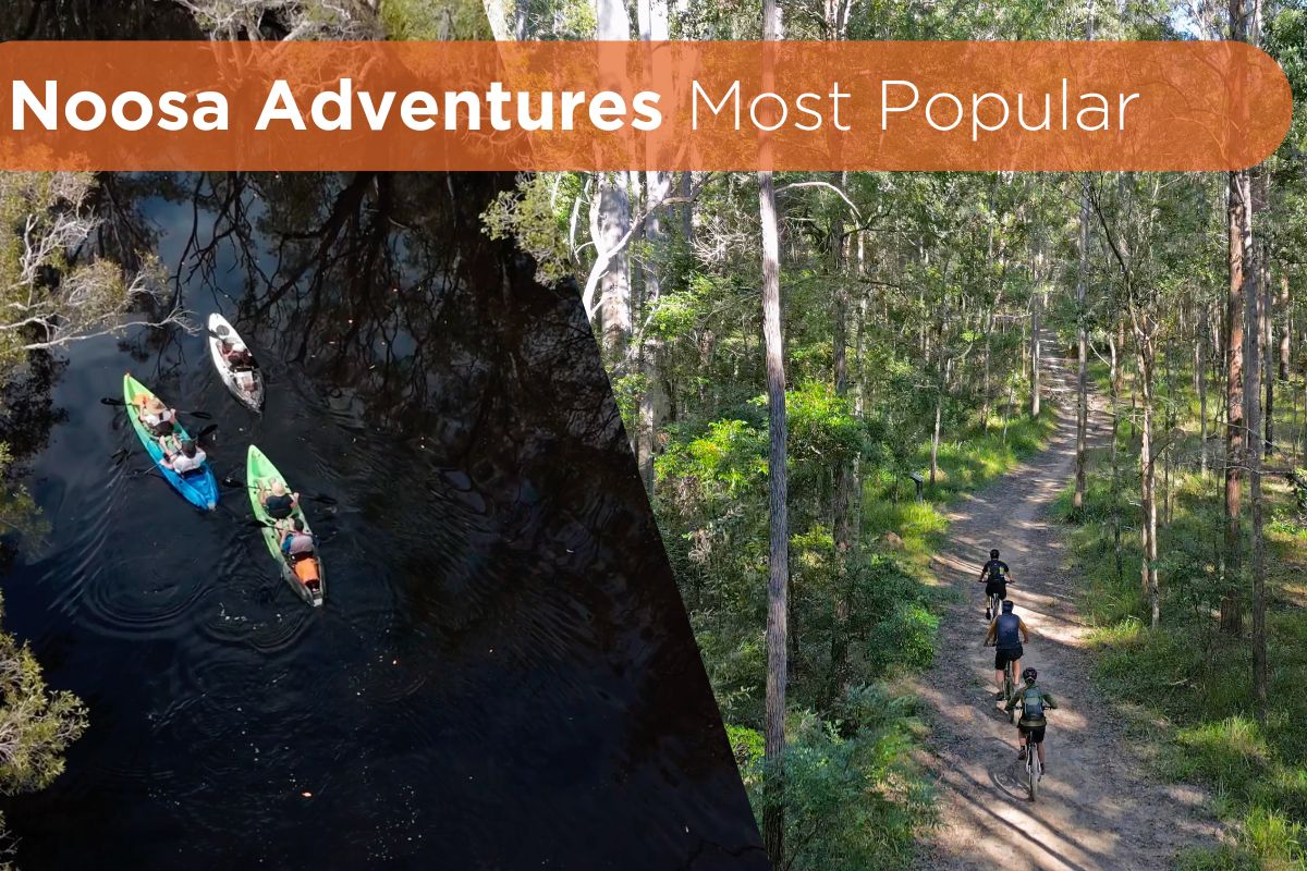 Most popular Noosa Kayak and Ebike tours. Image of everglades and forests