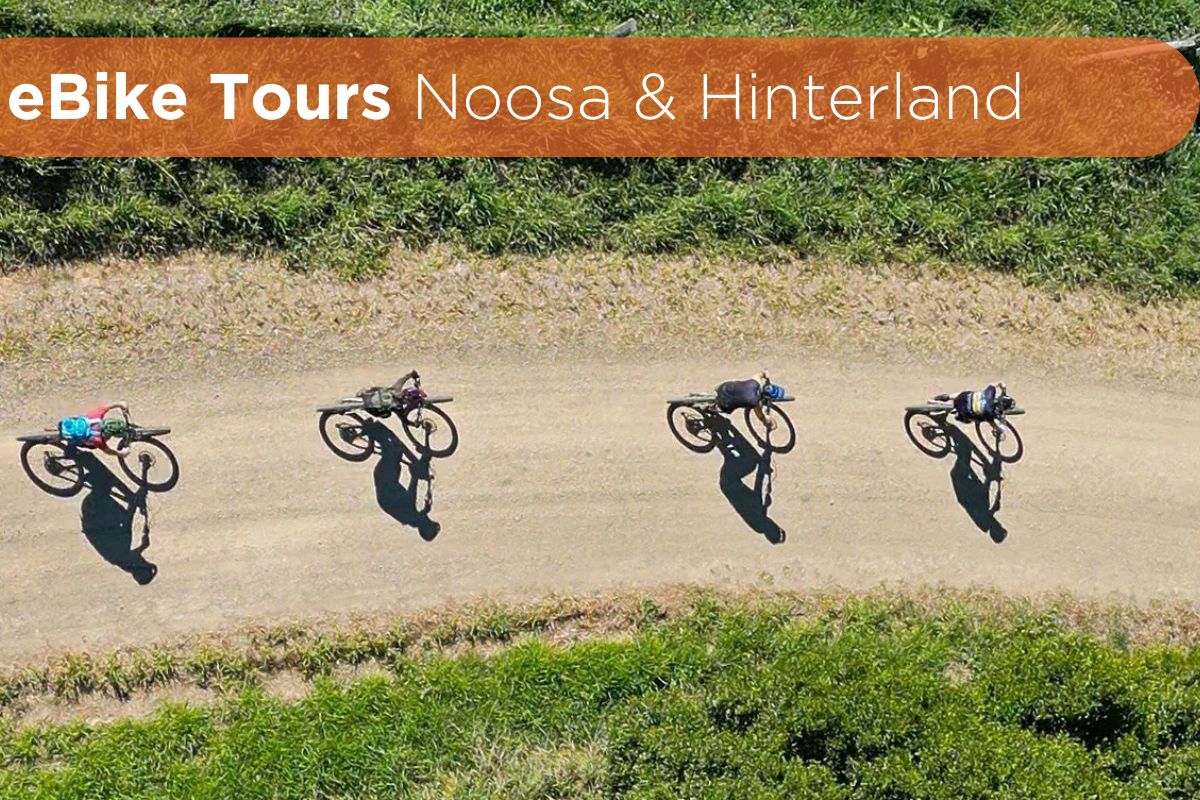 Noosa Ebike and Hinterland ebike tours. Image of bikes in green field