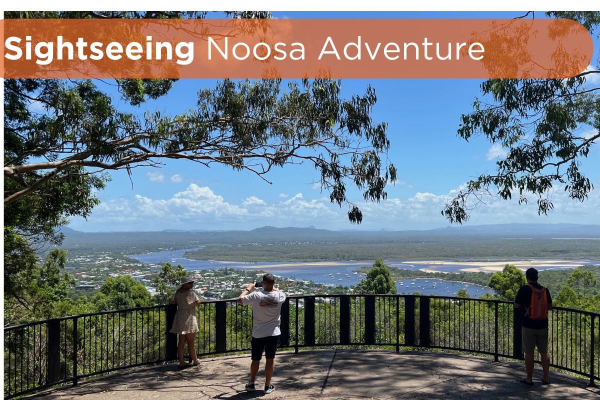 Noosa Sightseeing Tour. View from Laguna Lookout Noosa Heads