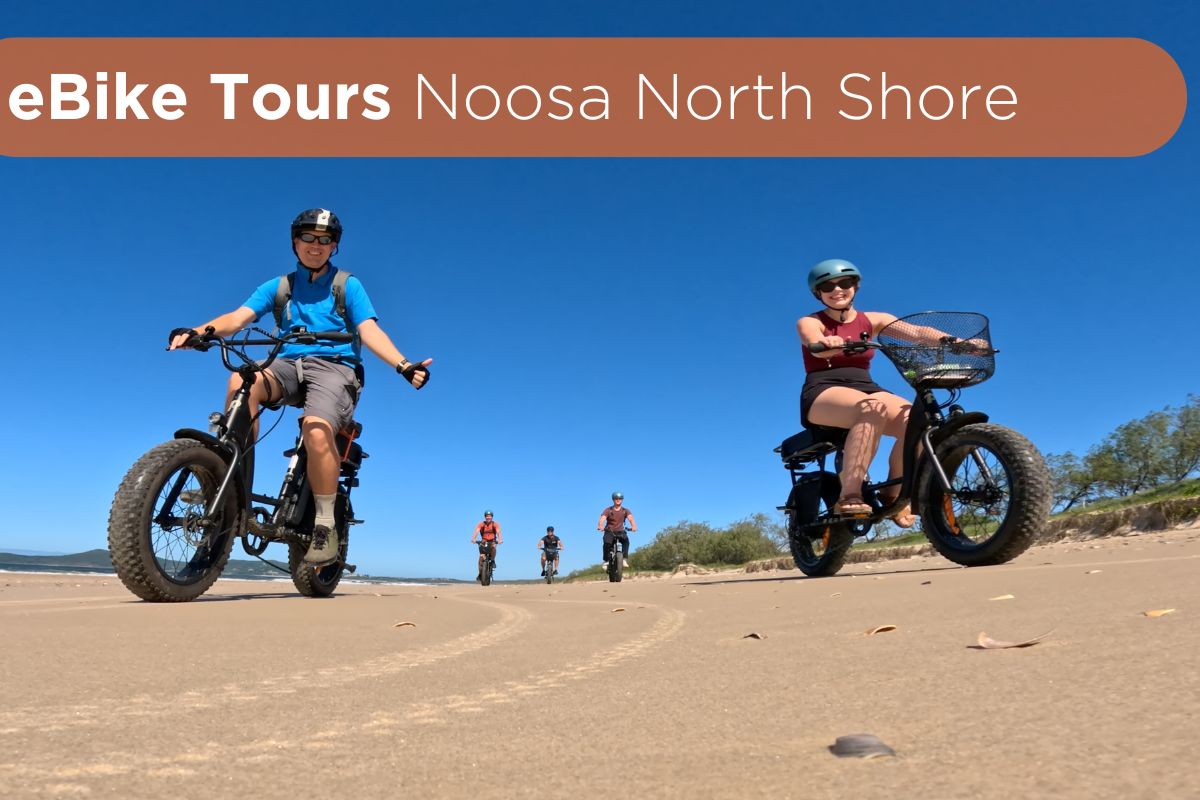 Noosa North Shore eBike Fat bike tour. Bikes on beach image