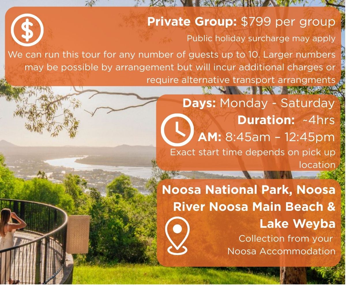Noosa sightseeing private group image with price