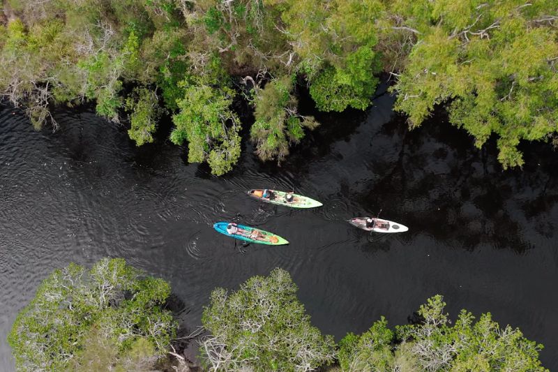 Kayaks on reflective waters in the Noosa Everglades