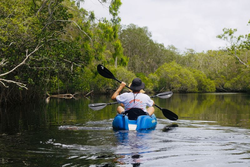 Kayaks on reflective waters in the Noosa Everglades