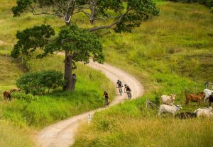 Noosa Biosphere Trails e-Mountain Bike Tour