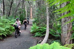 Bikes, Beers & Burgers - eBike Tour