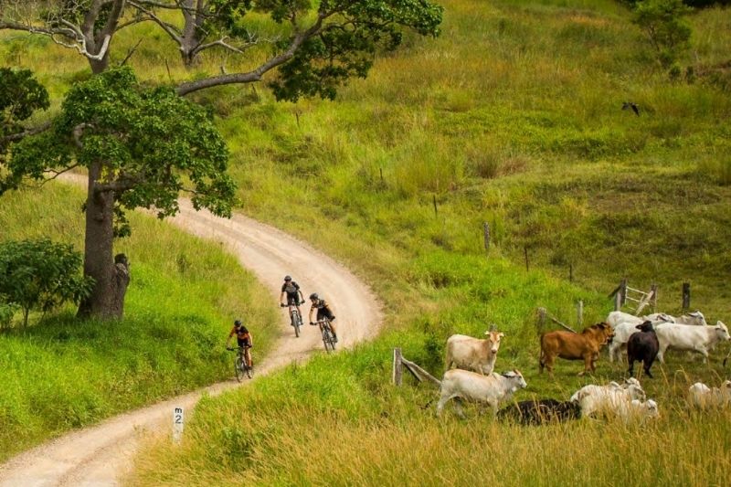 Noosa Biosphere Riders on Scenic Gravel Road