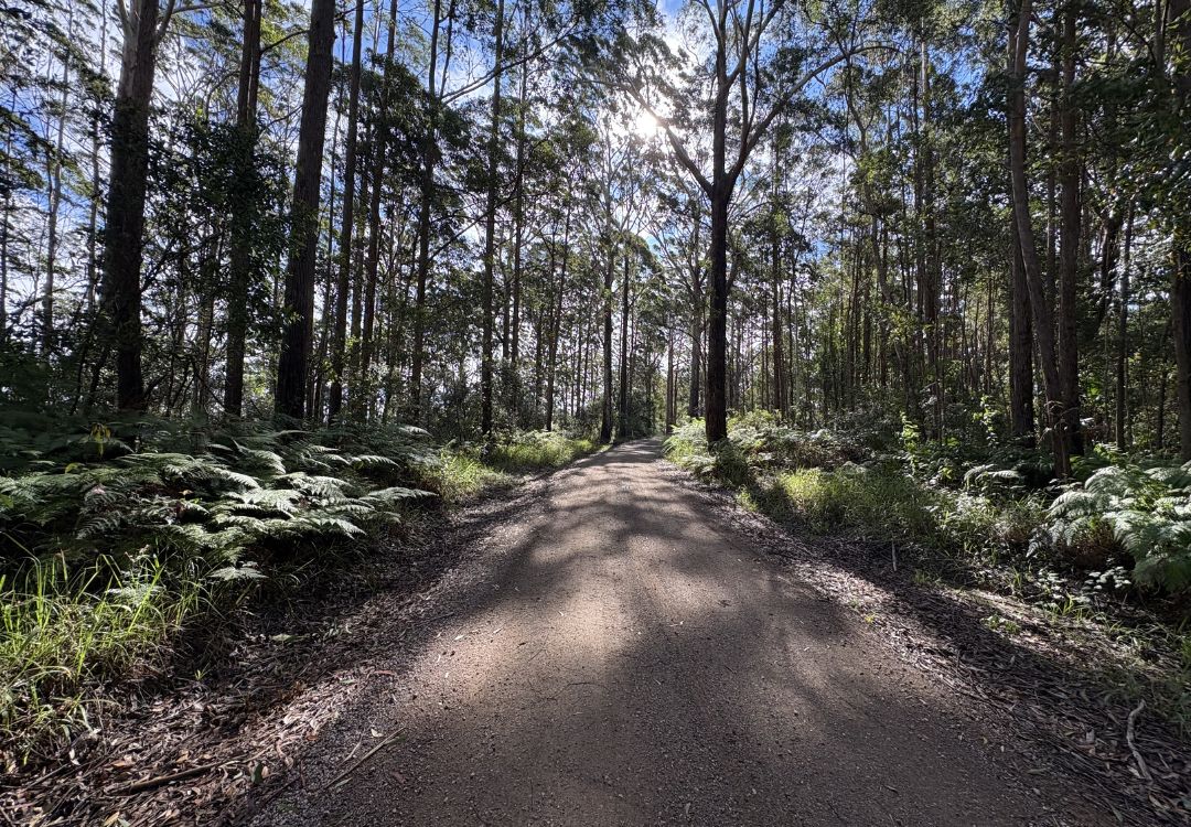 By Earth and Ocean Bike Tours in Noosa Hinterland using mountain bikes and ebikes
