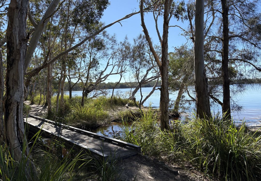 Bike tracks in Noosa everglades, across bridges and sealed tracks