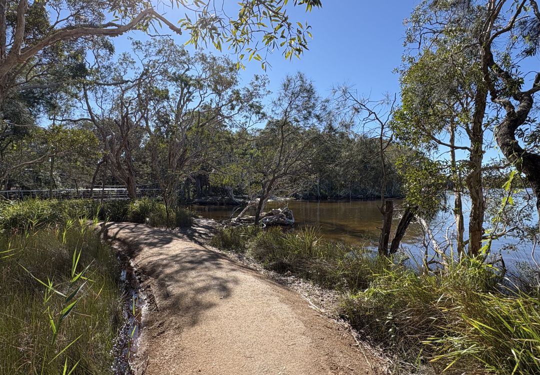 Bike tracks in Noosa wetlands
