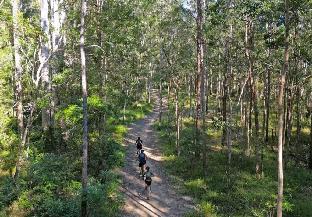 Noosa Trail network mountain biking self guided tour in the Noosa Hinterland, mountain tracks through thick bushland