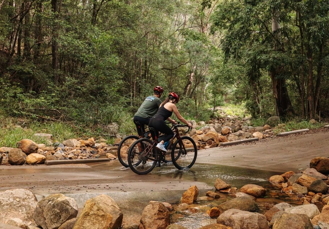 By Earth and Ocean Bike Tours in Noosa Hinterland and Noosa areas