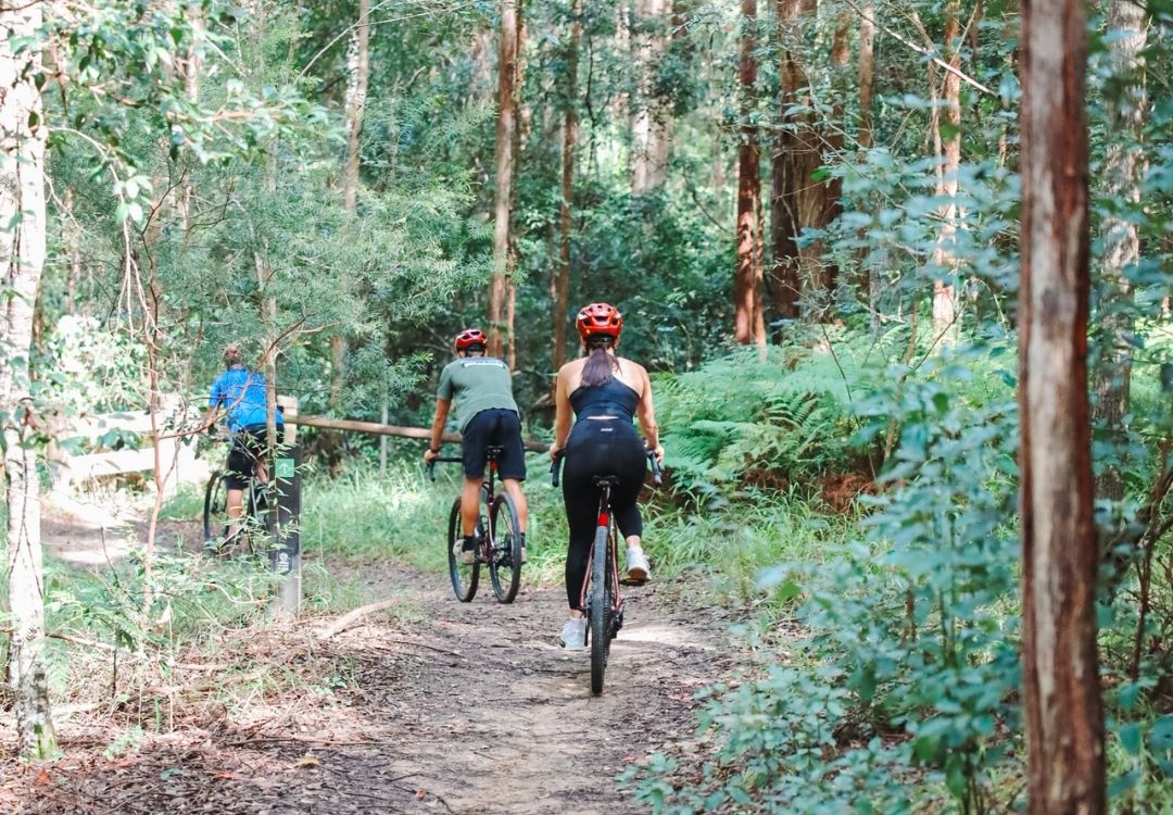 By Earth and Ocean Bike Tours in Noosa Hinterland easy tracks for beginners