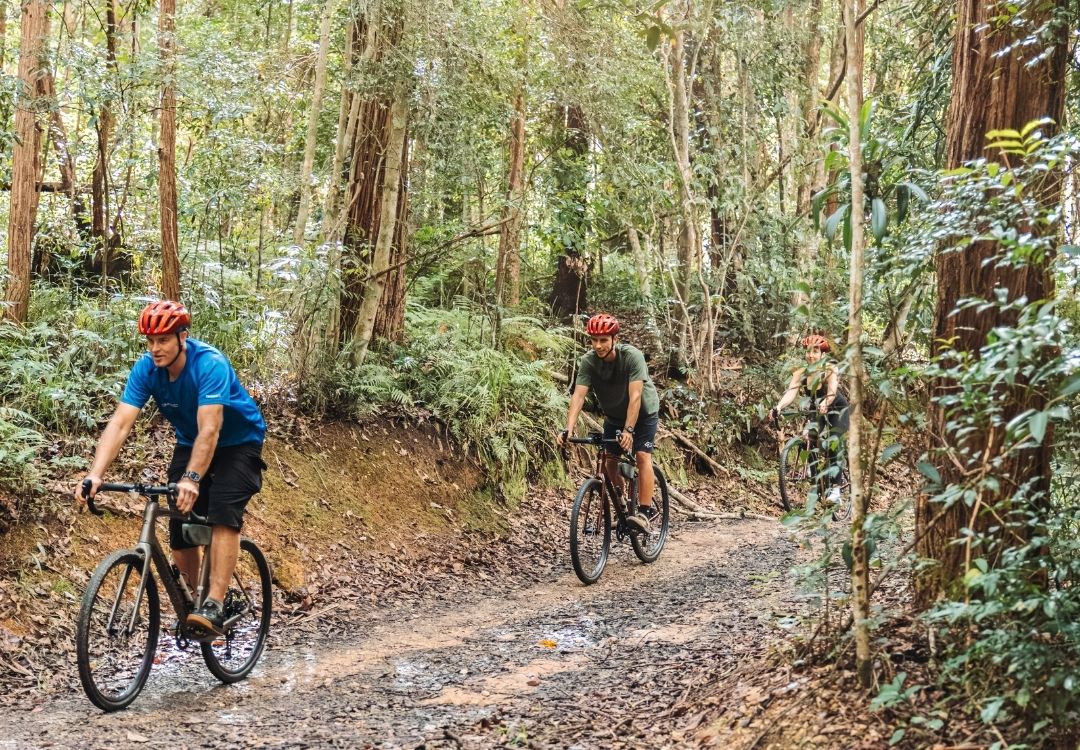 By Earth and Ocean Bike Tours in Noosa Hinterland gravel tours