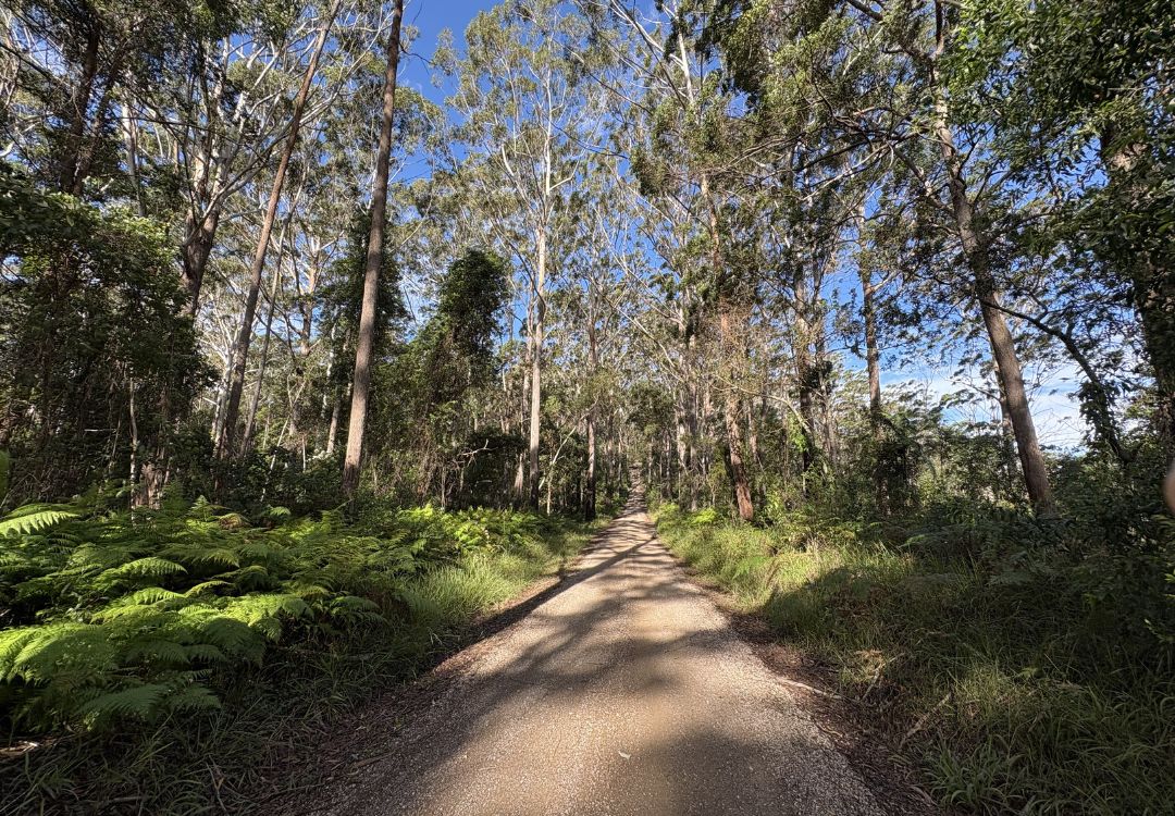 By Earth and Ocean Bike Tours in Noosa Hinterland using ebikes and mountain bikes