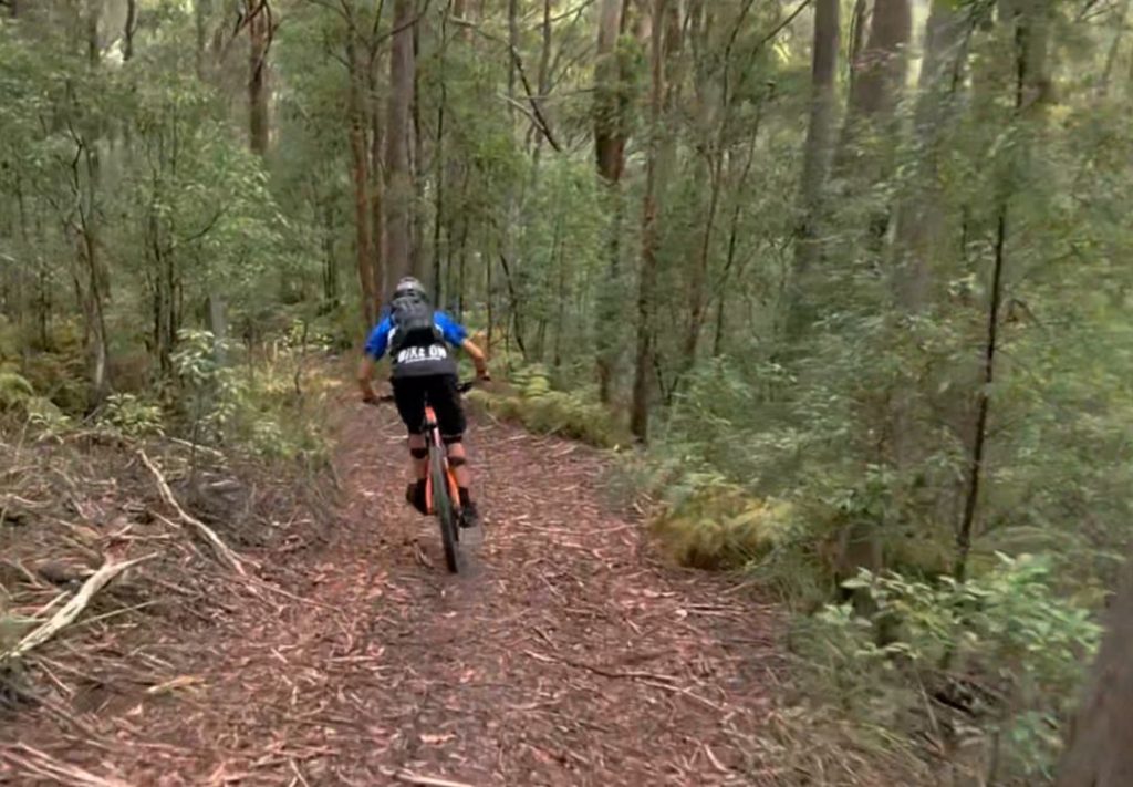 Noosa Trail network mountain biking self guided tour in the Noosa Hinterland perfect for exploring new tracks