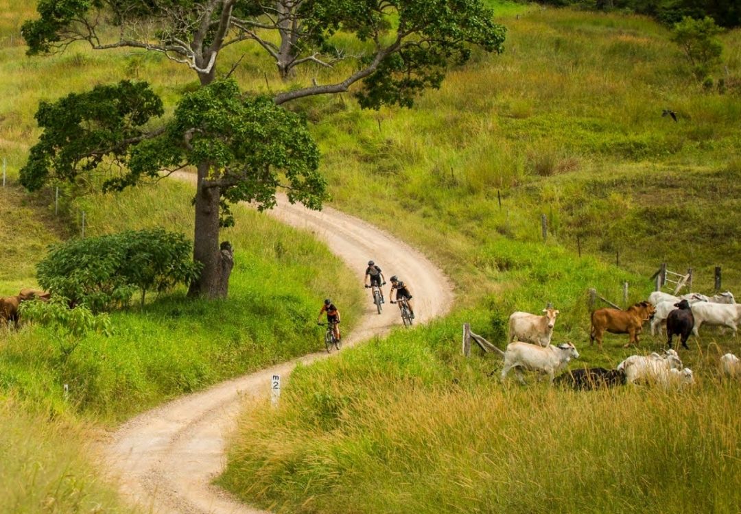 By Earth and Ocean Bike Tours in Noosa Hinterland through farmlands