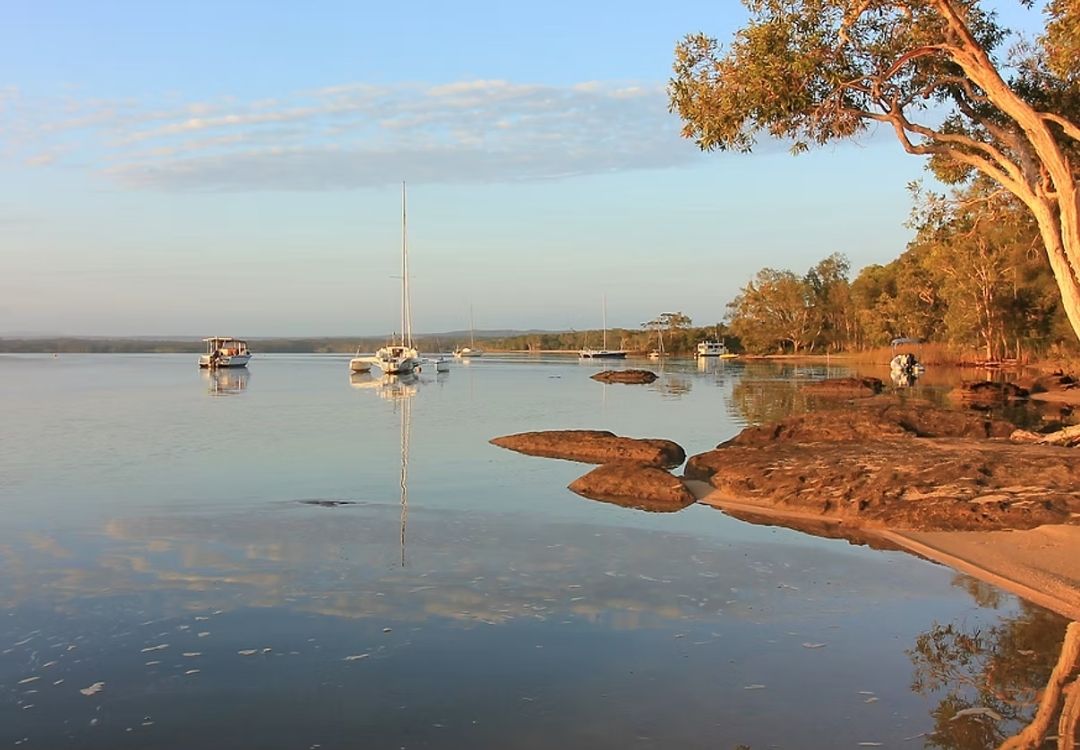 Noosa Everglades