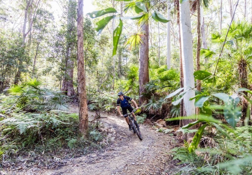 Noosa Trail network mountain biking self guided tour in the Noosa Hinterland for experienced riders