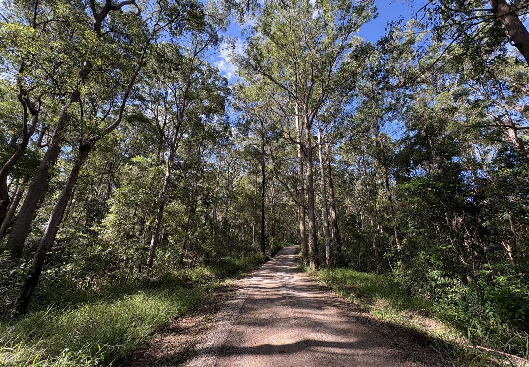 Gravel bike tracks in Noosa and surrounds