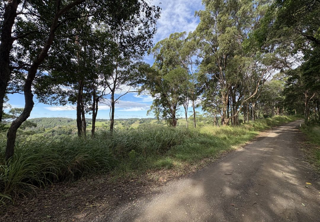 Bike tracks in Noosa hinterland for the adventures