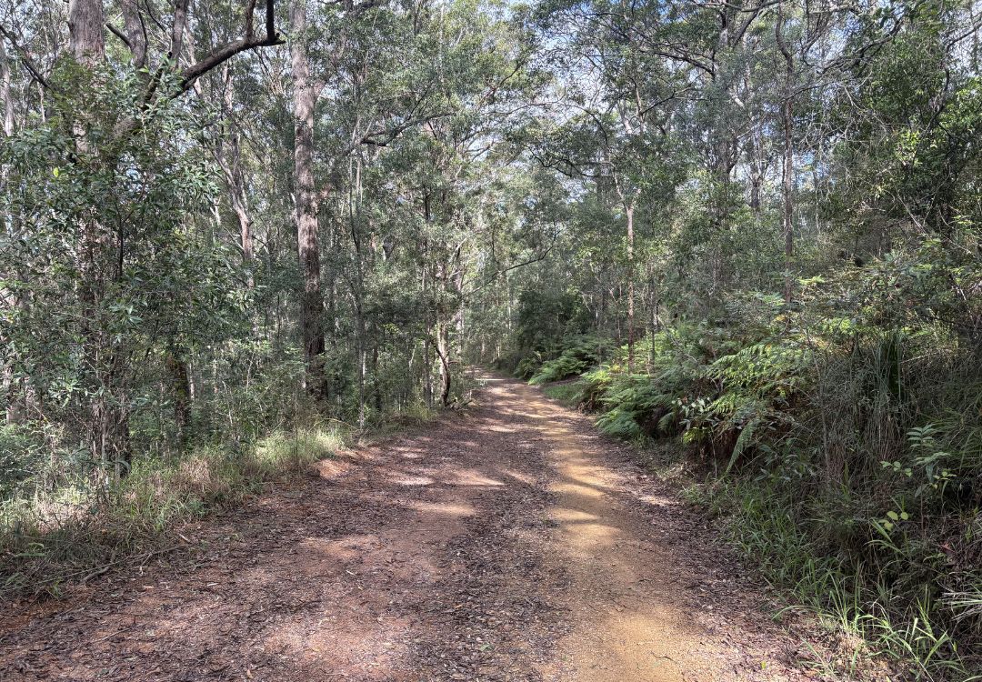 Bike tracks on gravel, sealed and mountain tracks in NOosa
