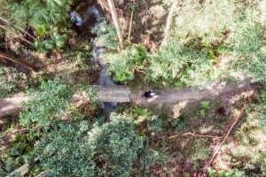 Noosa Trail Network MTB Rides
