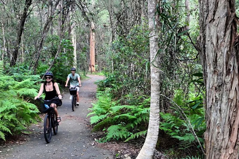 Private bike tour for families of all ages. Noosa