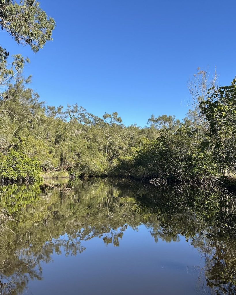Mirrored waterways on a sustainable eco tour in the Noosa Everglades