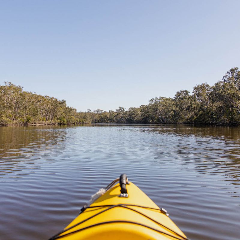 point of view of kayaking noosa
