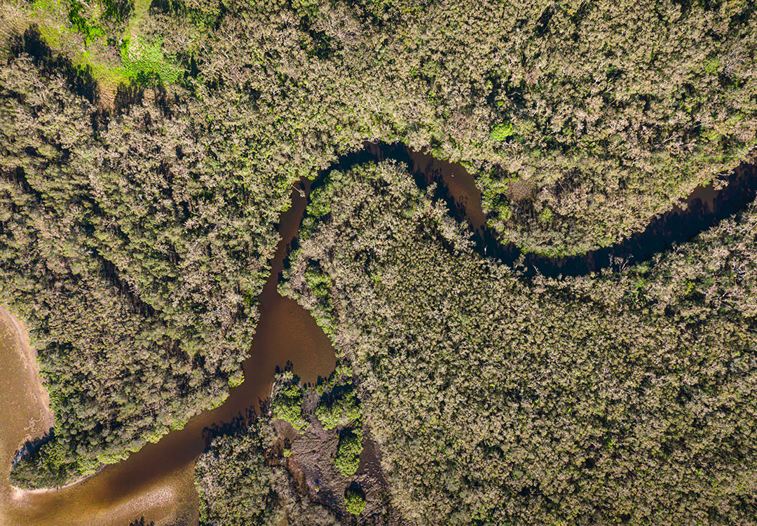 Aerial view of a winding waterway through Noosa bushland