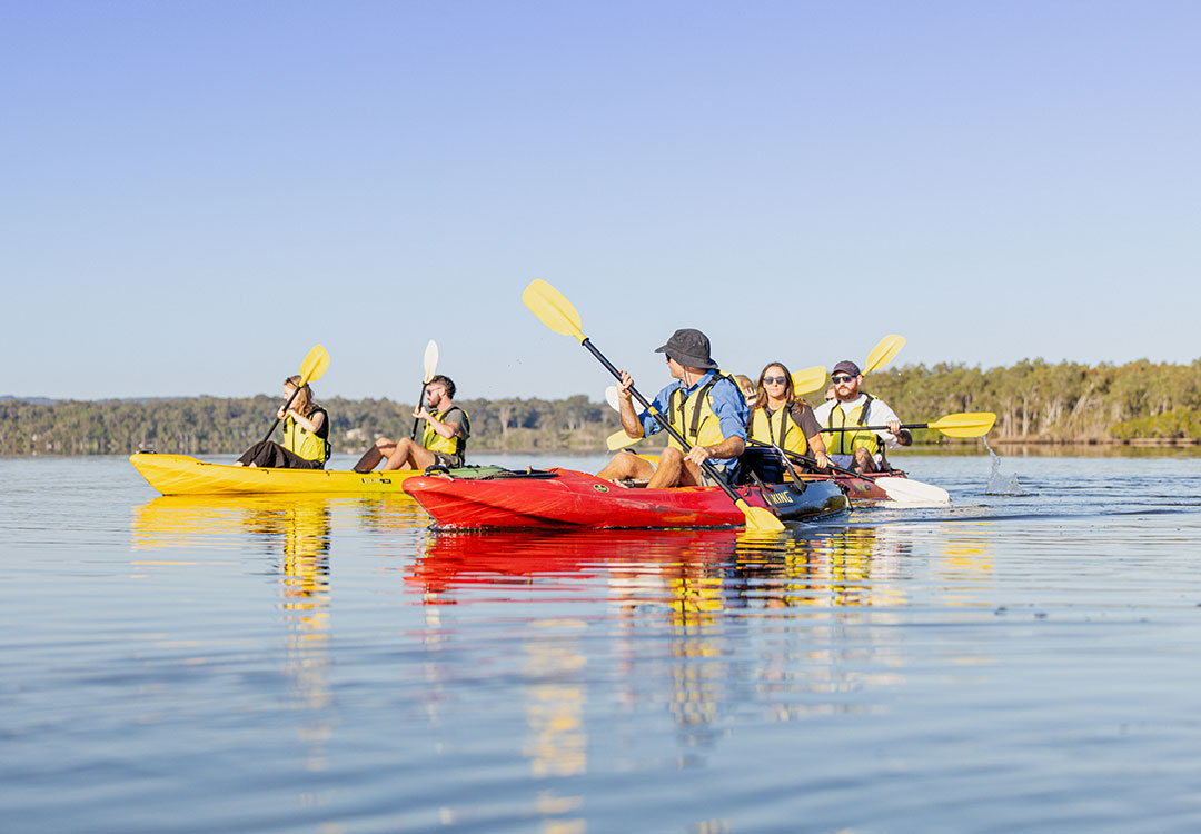 Group paddling kayaks on a guided Noosa eco tour