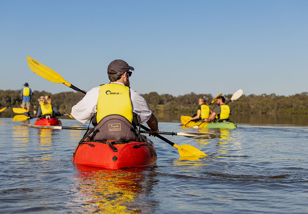 Kayakers setting out on a guided Noosa kayak tour