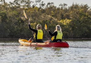 Stingrays & Everglades Kayak Experience