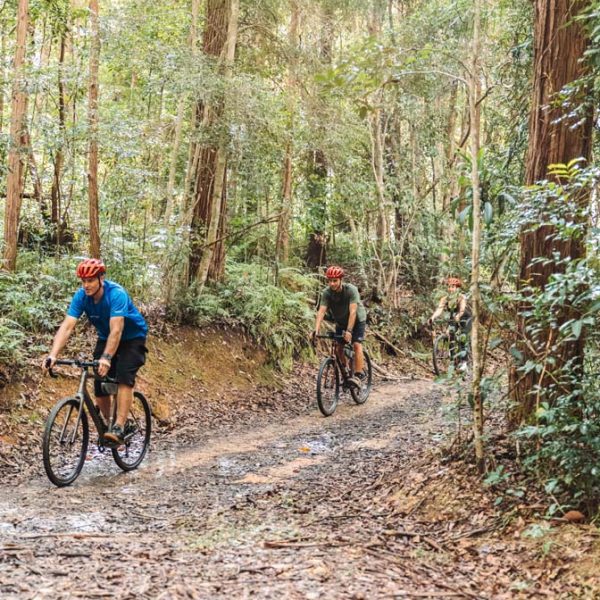 By Earth & Ocean HInterland Gravel Rides (37)