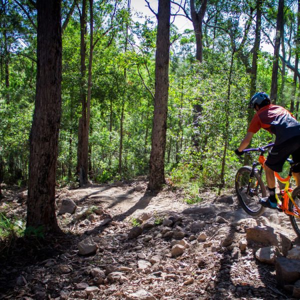 Guided-Noosa-Electric-Mountain-Bike-Tour-11