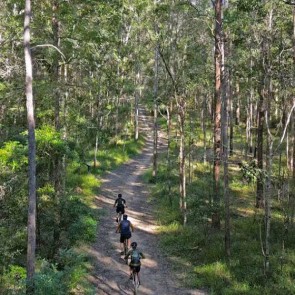 By Earth and Ocean multi day tours amazing hinterland bike tracks