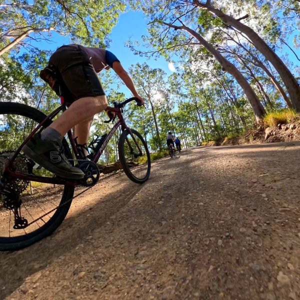 Rider on a berm in eucalypt forest, Noosa Biosphere trails